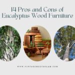 Pros and Cons of Eucalyptus Wood Furniture