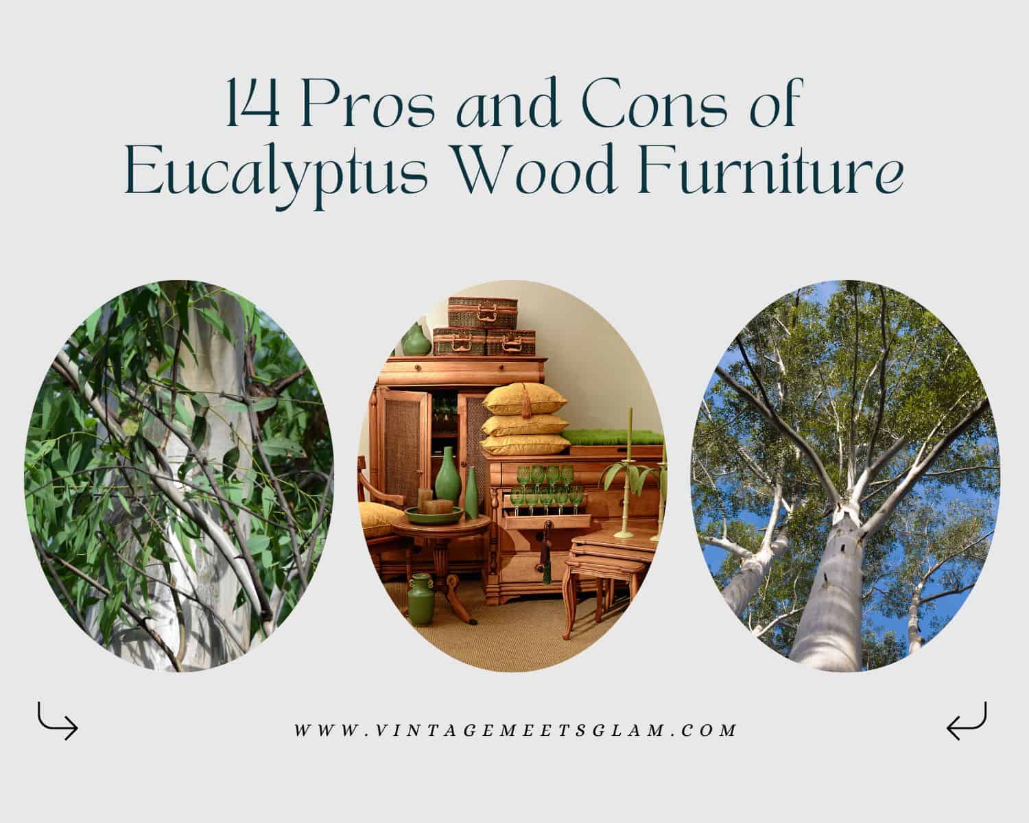 Pros and Cons of Eucalyptus Wood Furniture