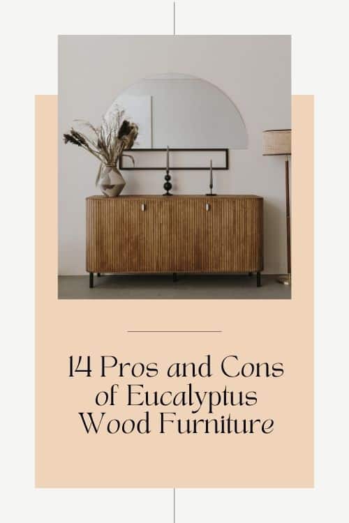 Pros and Cons of Eucalyptus Wood Furniture