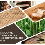 Bamboo vs Rattan - Pros & Cons, Differences & Uses