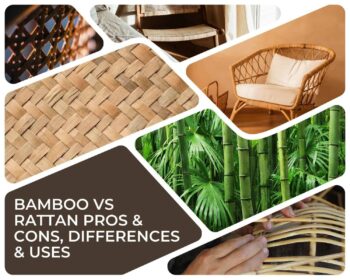 Bamboo vs Rattan - Pros & Cons, Differences & Uses