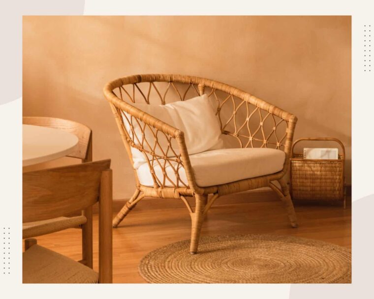 Bamboo vs Rattan - Pros & Cons, Differences & Uses