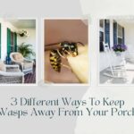 how to repel wasps from your porch