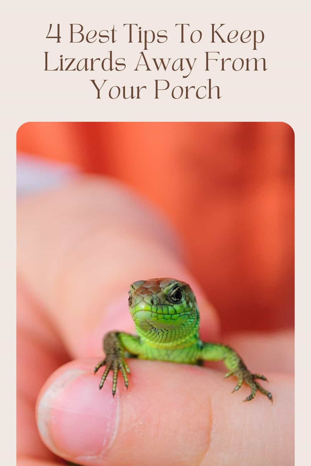 Keep Lizards Away From Your Porch