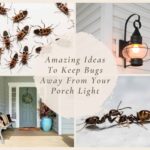 How to Keep Bugs Away From Your Porch Light