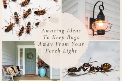 How to Keep Bugs Away From Your Porch Light
