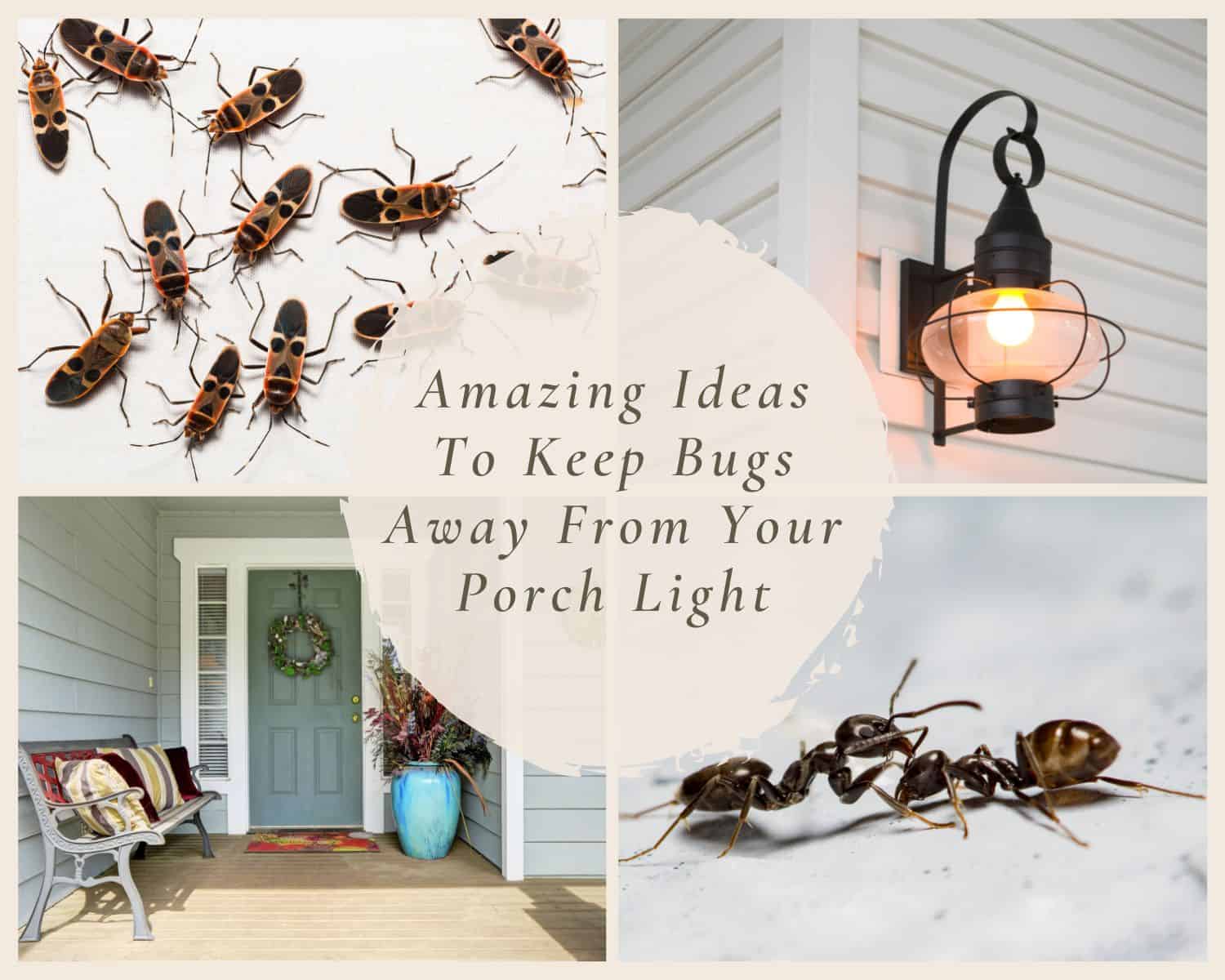 How to Keep Bugs Away From Your Porch Light