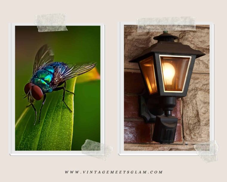 How to Keep Bugs Away From Your Porch Light