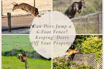 Can Deer Jump a 6-Foot Fence