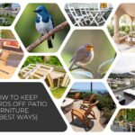 How To Keep Birds Off Patio Furniture (4 Best Ways)