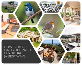 How To Keep Birds Off Patio Furniture (4 Best Ways)