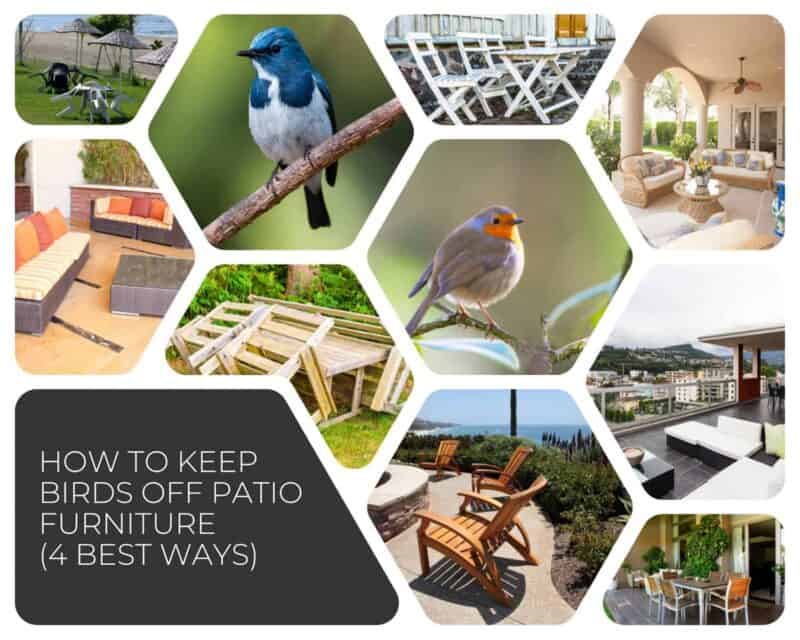 How To Keep Birds Off Patio Furniture (4 Best Ways)