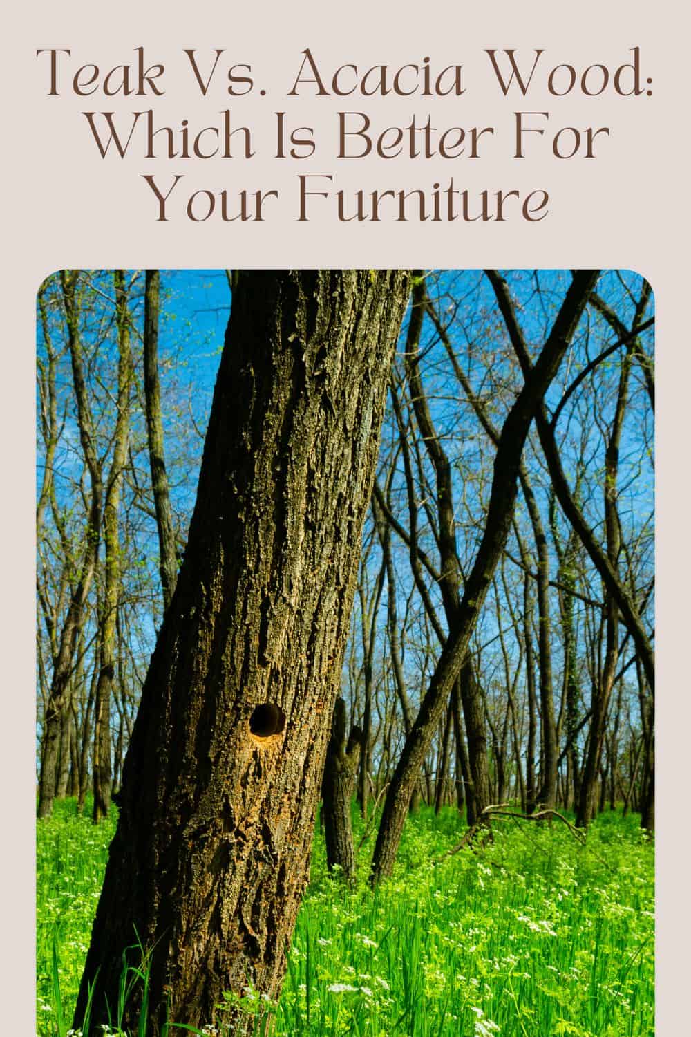 Teak Vs. Acacia Wood Which Is Better For Your Furniture