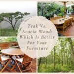 Teak Vs. Acacia Wood Which Is Better For Your Furniture